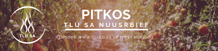 pitkos header