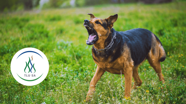 TLU SA verwelkom samewerking in groot ondersoek na onwettige jag met honde in Ermelo