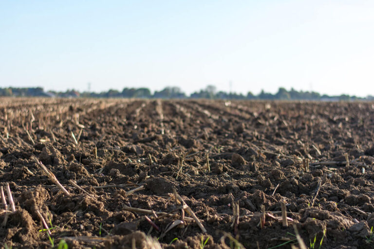 TLU SA questions the foundation of agricultural plan